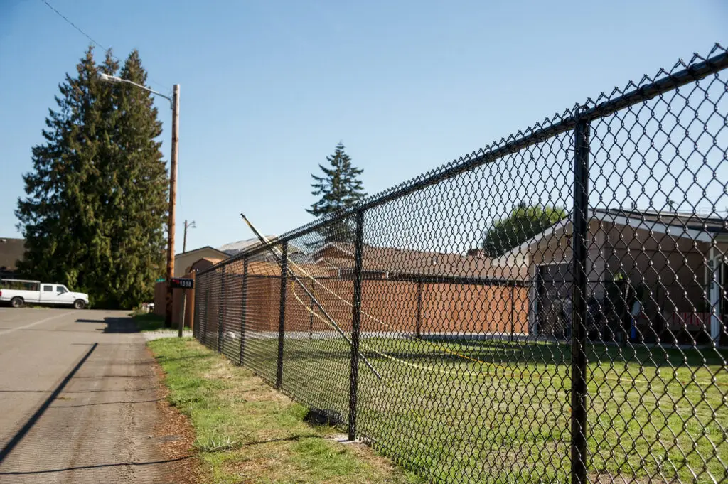 Black chain link fence with a mailbox installed at the base, with a clear view of a residential neighborhood.