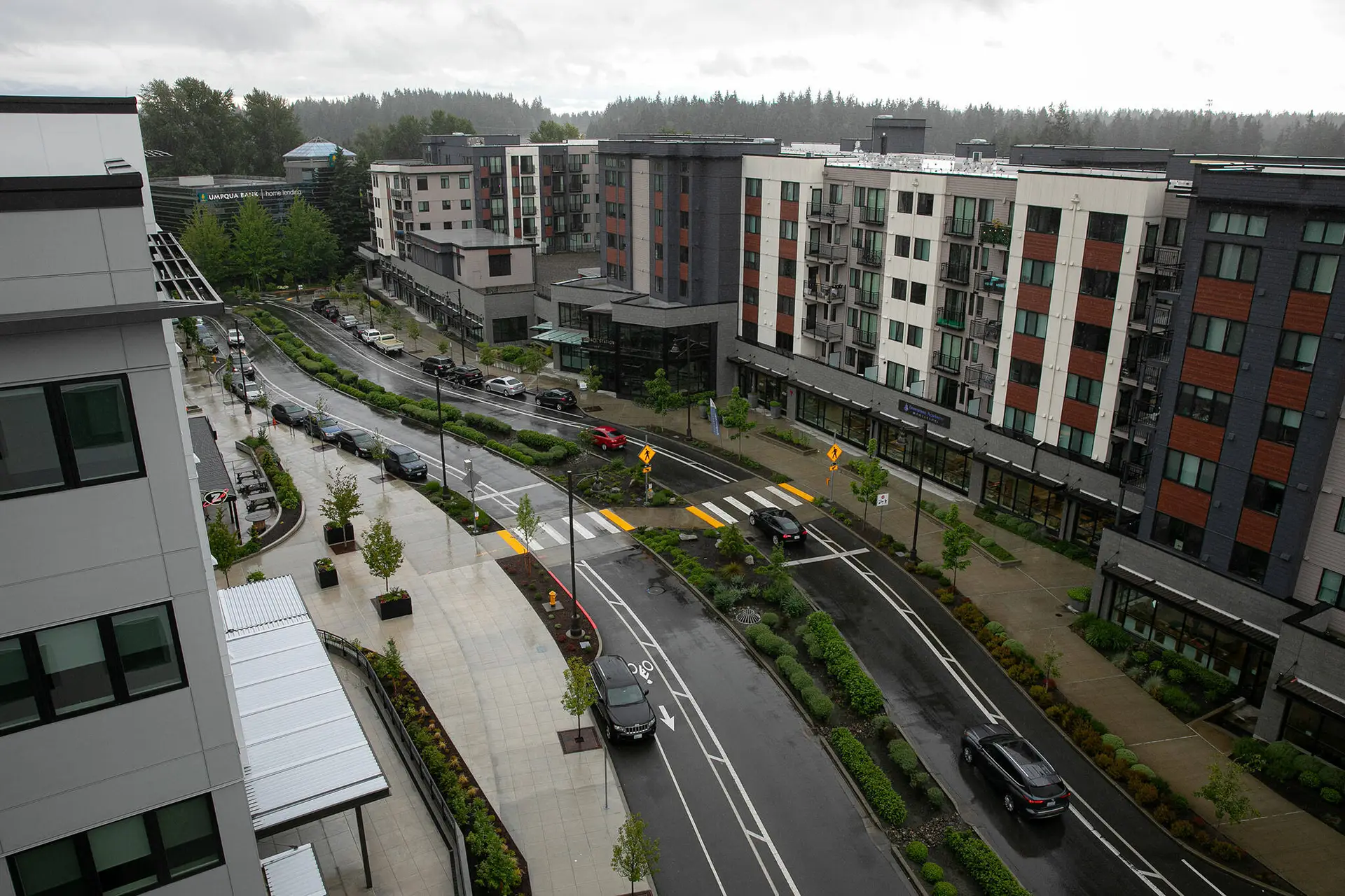 Rainy street in Mountlake Terrace, WA, with modern apartments, wet roads, cars, and greenery