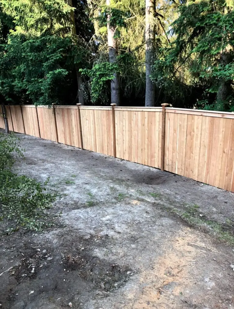 Full Panel Fence - Seattle
