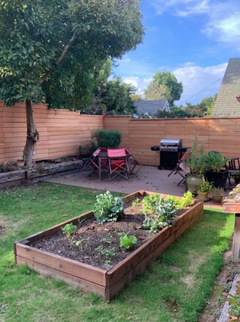 Horizontal Fence - Seattle