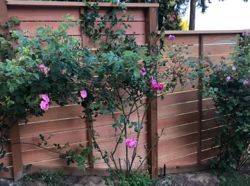 Horizontal Fence - Seattle