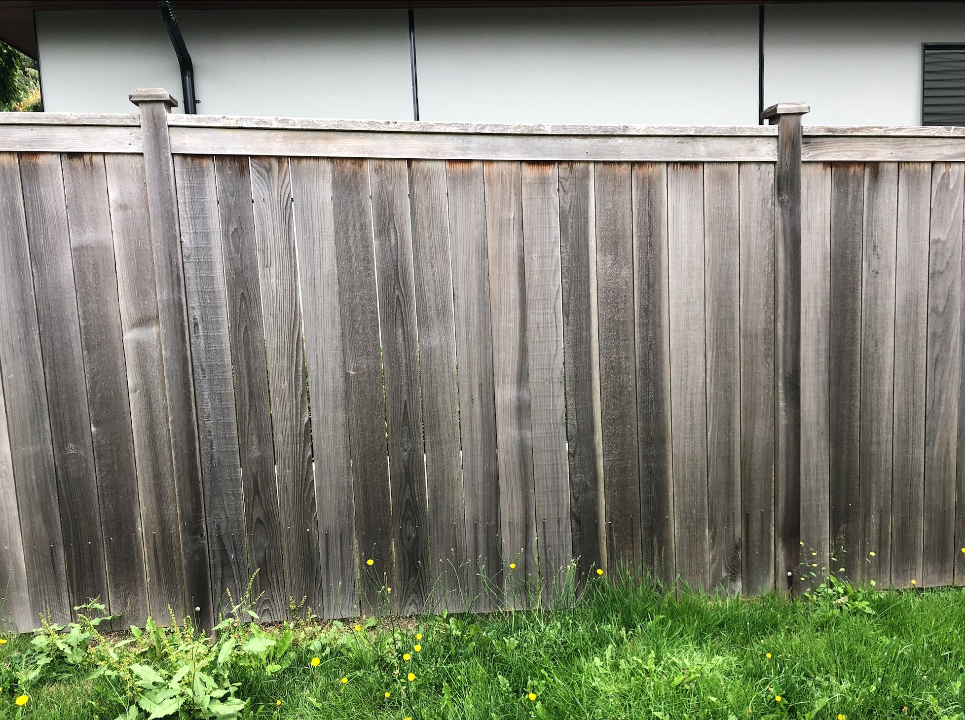 Weathered Fence After 4 Years