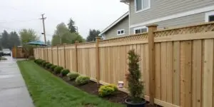 Cedar property-line fence between two Seattle neighbors’ yards with latte cup on fence post.
