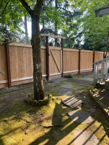 A cedar fence with a gate in a Seattle backyard, surrounded by trees and moss-covered ground, demonstrating the benefits of cedar fence staining vs sealing in Seattle.