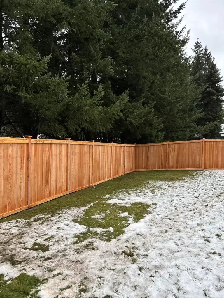 Cedar full-panel fence with clear cedar boards along backyard in Mill Creek with snow patches