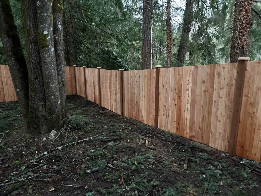 Cedar Fence Upgrade in Sammamish