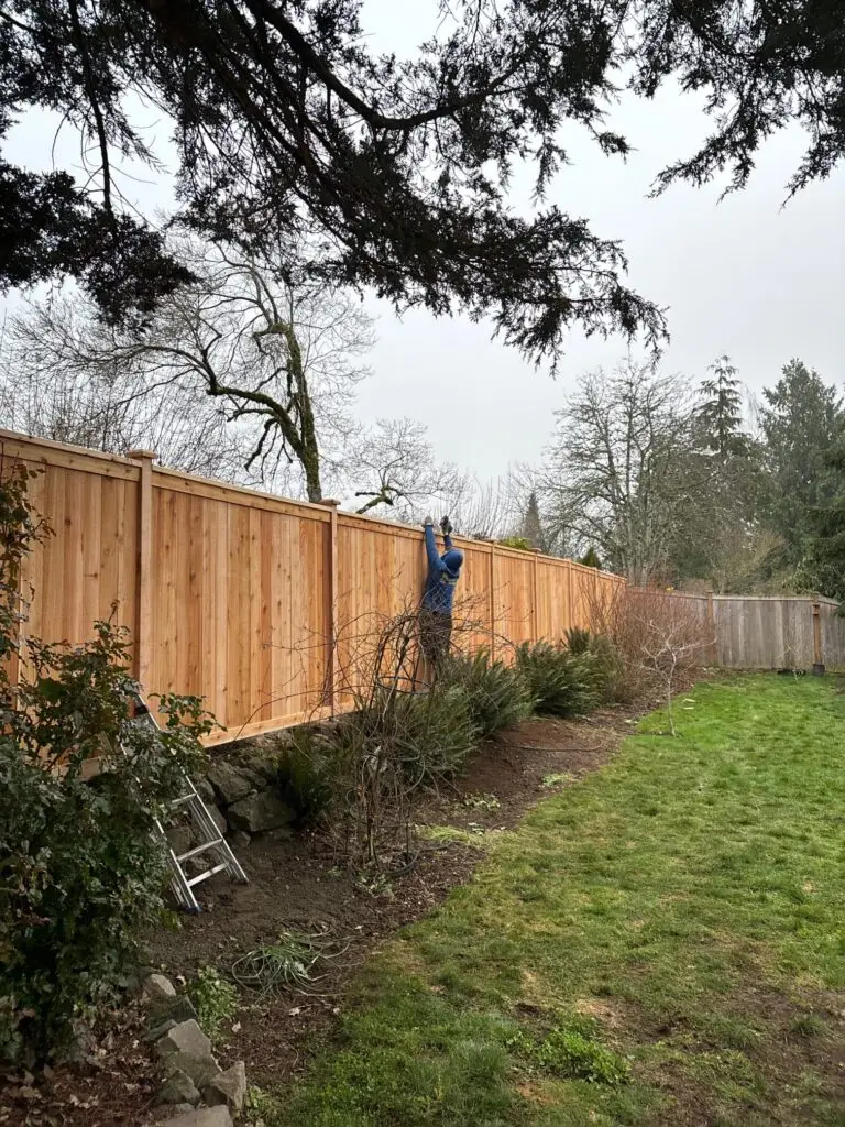 Full Panel Cedar Fence with Decorative Lattice Installed in Renton in a backyard with garden beds and a person adjusting the fence, on an overcast day.